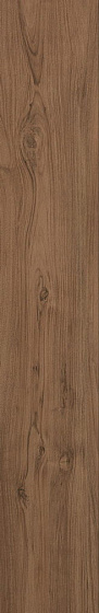 «Atlas Concorde Italy»
Etic Noce Hickory 25x150 (AV4K) 25x150 Керамогранит
«Atlas Concorde Italy»
Etic Noce Hickory 25x150 (AV4K) 25x150 Керамогранит