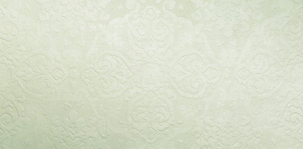 
                                                Evolve Linea White 30x60 Broccato (ANE8)
                                            