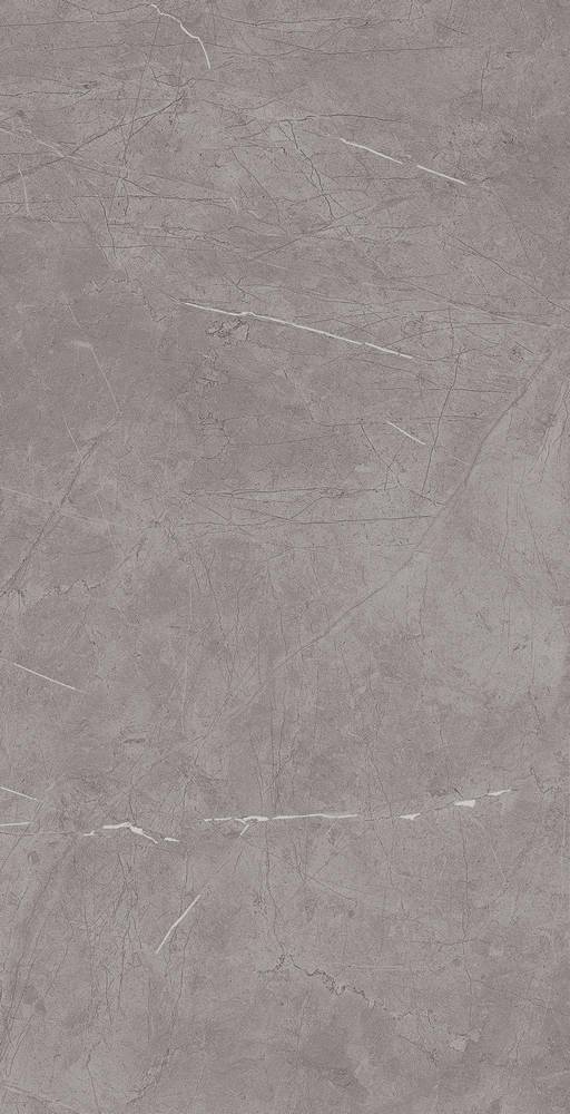 
                                                Marvel Silver Dream 40X80 (8MVS) Керамическая плитка
                                            