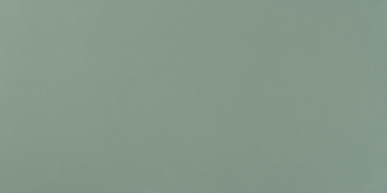 «Atlas Concorde Italy» 
                                                Arkshade Sage 40x80 (8AKF) Керамическая плитка
                                            