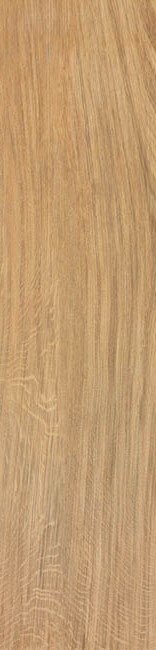 «Atlas Concorde Italy»
Etic Rovere 25x150 (ADU1) 25x150 Керамогранит
«Atlas Concorde Italy»
Etic Rovere 25x150 (ADU1) 25x150 Керамогранит