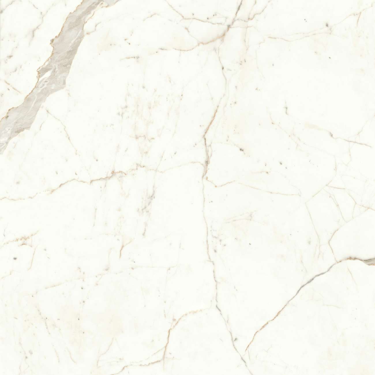 «Atlas Concorde Italy» 
                                                Marvel Calacatta Prestigio 120x120 Matt (A4Q5) Керамогранит
                                            