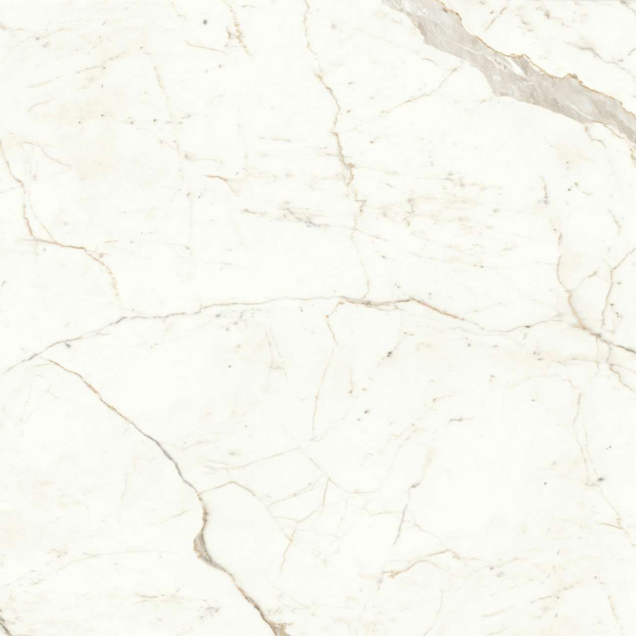 «Atlas Concorde Italy»
Marvel Calacatta Prestigio 160x160 Lappato (A4RP) Керамогранит
«Atlas Concorde Italy»
Marvel Calacatta Prestigio 160x160 Lappato (A4RP) Керамогранит