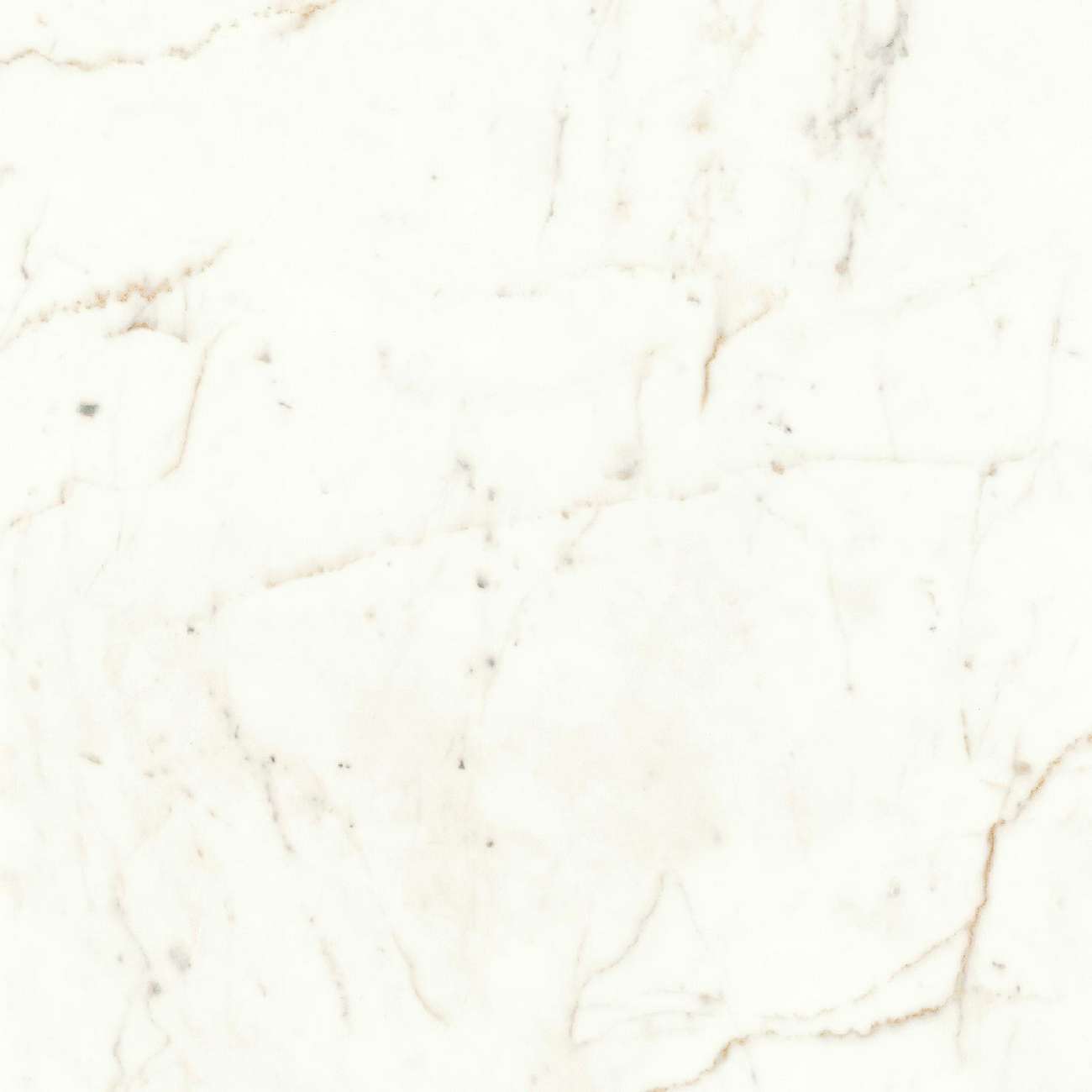 «Atlas Concorde Italy»
Marvel Calacatta Prestigio 60x60 Lappato (A4QT) Керамогранит
«Atlas Concorde Italy»
Marvel Calacatta Prestigio 60x60 Lappato (A4QT) Керамогранит