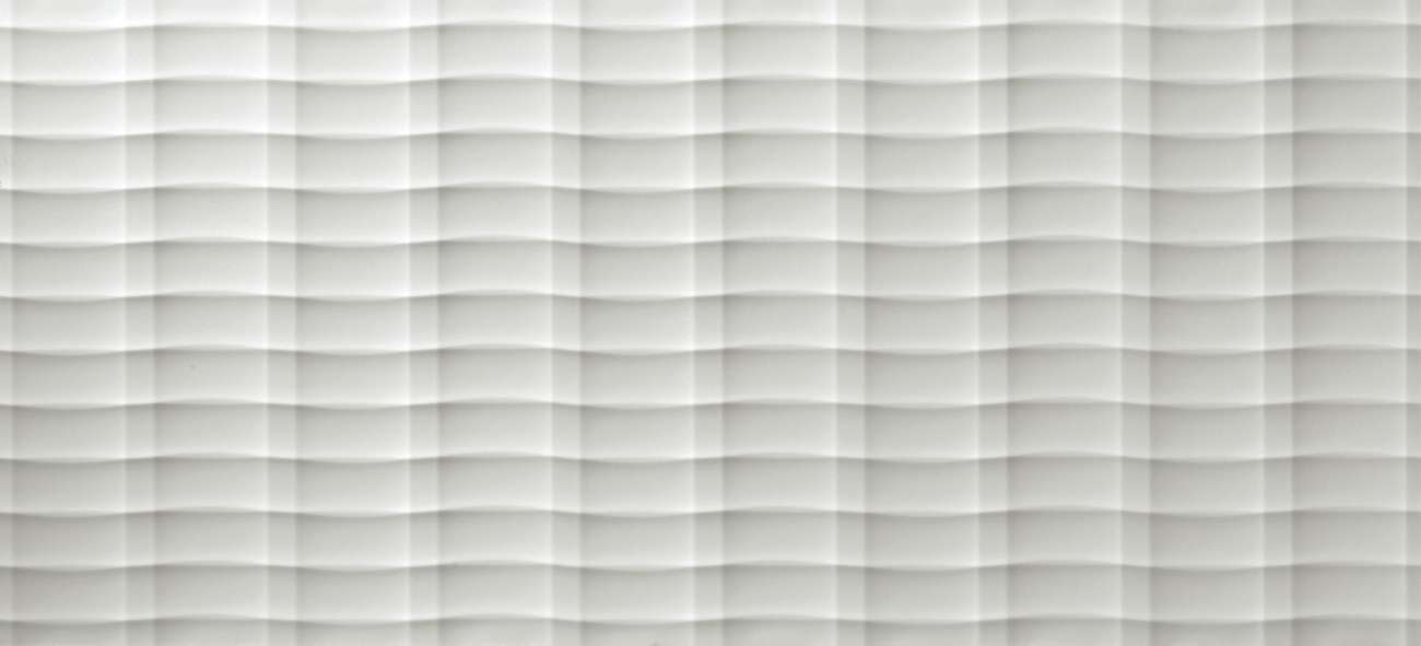 
                                                3D Plot White Matt 50x110 (4D3P) Керамическая плитка
                                            