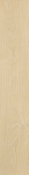 «Atlas Concorde Italy»
Nid Light 15x90 (D230) 15x90 Керамогранит. Новый артикул
«Atlas Concorde Italy»
Nid Light 15x90 (D230) 15x90 Керамогранит. Новый артикул