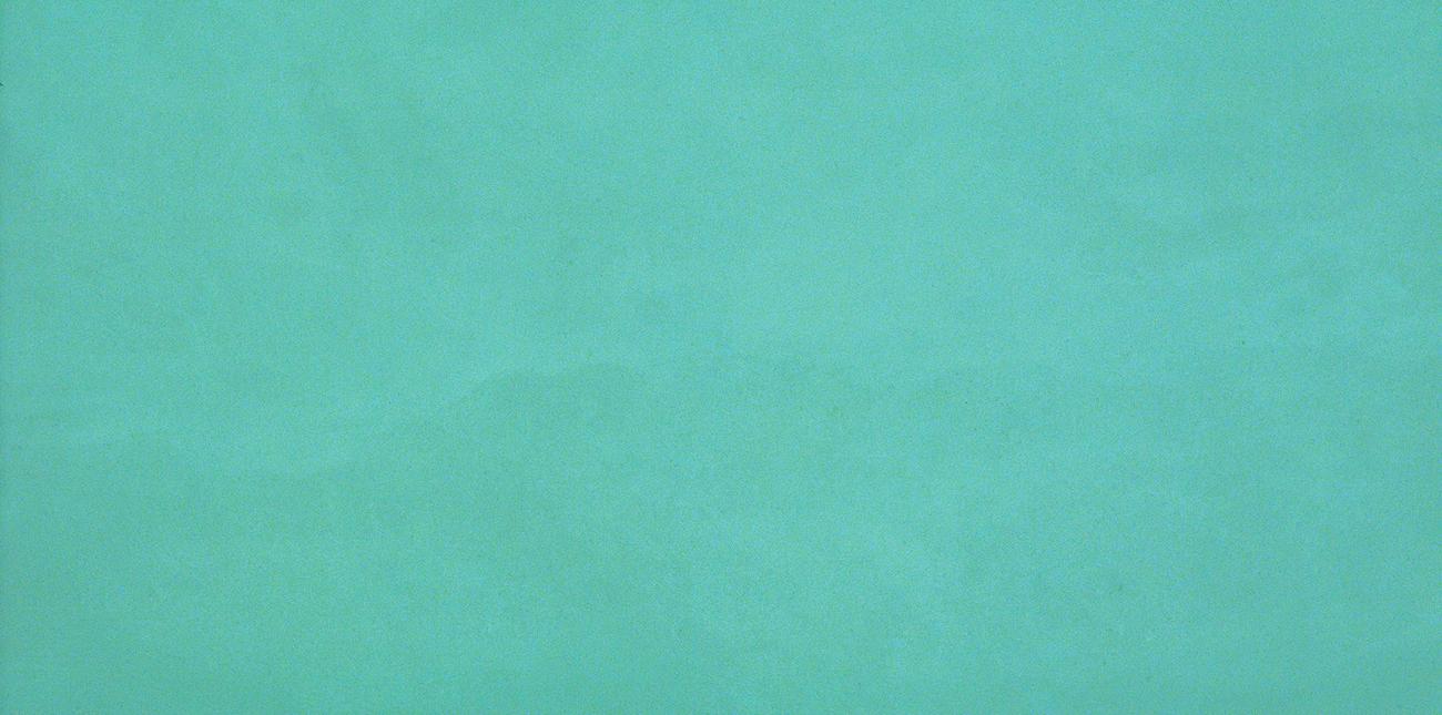 «Atlas Concorde Italy»
Dwell Turquoise 40x80 (8DWQ) Керамическая плитка
«Atlas Concorde Italy»
Dwell Turquoise 40x80 (8DWQ) Керамическая плитка