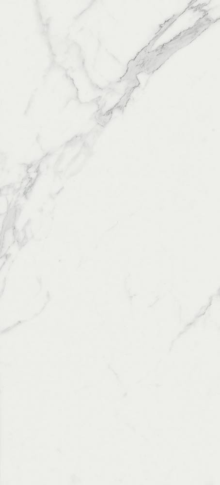
                                                Marvel Calacatta 50x110 (4MPC) Керамическая плитка
                                            