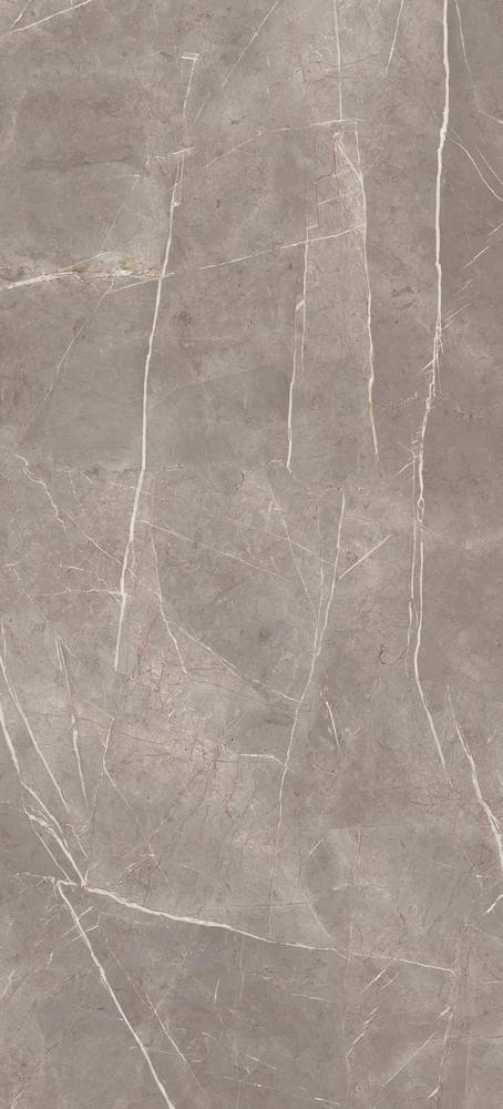 
                                                Marvel Silver Dream 50x110 (4MPV) Керамическая плитка
                                            