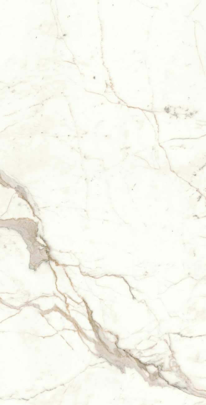 «Atlas Concorde Italy» 
                                                Marvel Calacatta Prestigio 120x240 Lappato (A4RI) Керамогранит
                                            