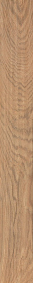 «Atlas Concorde Italy» 
                                                Etic Rovere 11x90 (AJ8J) 11x90 Керамогранит
                                            