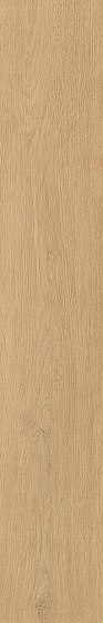 «Atlas Concorde Italy»
Nid Natural 15x90 (D231) 15x90 Керамогранит. Новый артикул
«Atlas Concorde Italy»
Nid Natural 15x90 (D231) 15x90 Керамогранит. Новый артикул