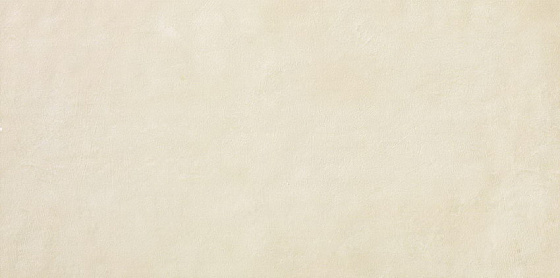 «Atlas Concorde Italy» 
                                                EWALL WHITE 4080 (8E4Z) 40x80 Керамическая плитка
                                            