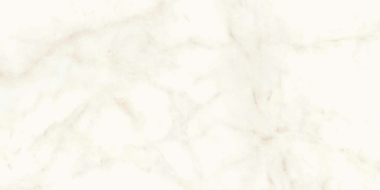 «Atlas Concorde Italy»
Marvel Calacatta Delicato 60x120 Lappato (A4Q0) Керамогранит
«Atlas Concorde Italy»
Marvel Calacatta Delicato 60x120 Lappato (A4Q0) Керамогранит