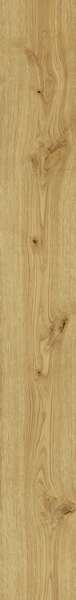 
                                                Exence Almond 18,5x150 (AL87) 18,5x150 Керамогранит
                                            